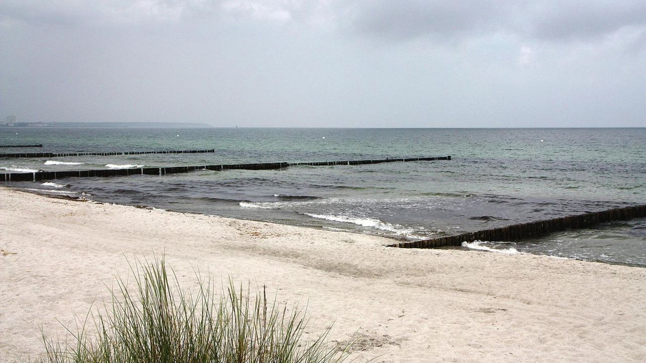 AreaSummer5KM AreaSummer5KM